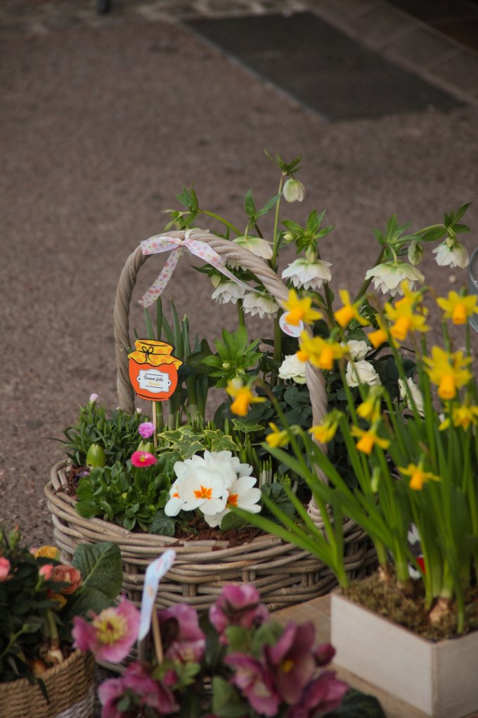 Un parfum de souvenir et de tendresse photo 2